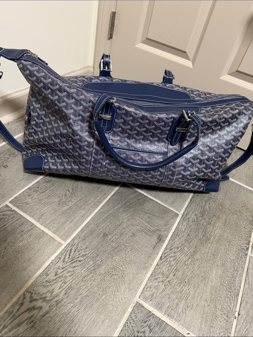 Goyard Blue Patterned Travel Tote